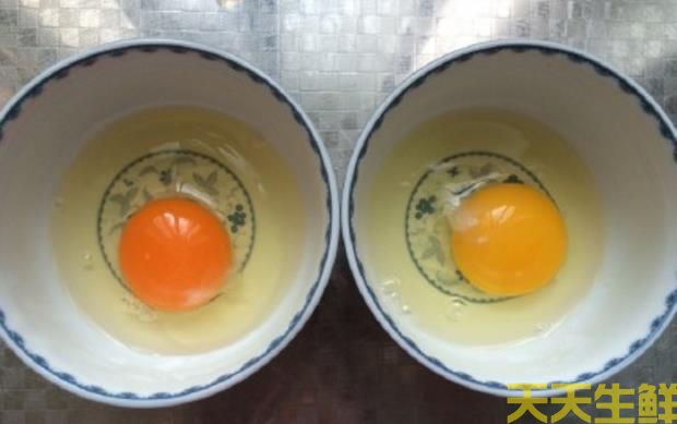 廣州蔬菜配送告訴你常見雞蛋有哪些品種？(圖2)