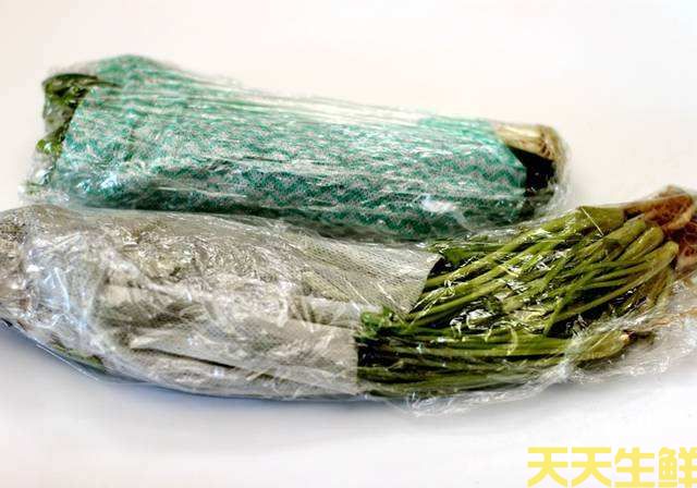 廣州蔬菜配送公司告訴你，蔬菜如何保鮮？(圖2)