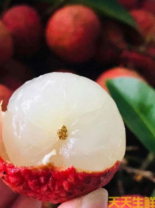 荔枝的品種有哪些？廣州蔬菜配送公司科普(圖16)