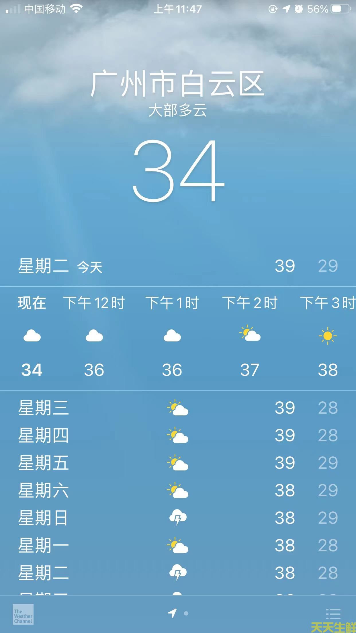 天氣炎熱吃什么好？廣州蔬菜配送公司推薦你8種食材(圖1)